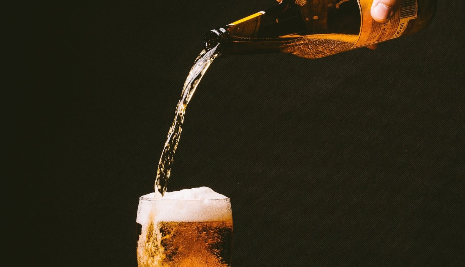 Beer Attraction and Food Attraction Expo Rimini Hotel Offers Hotel