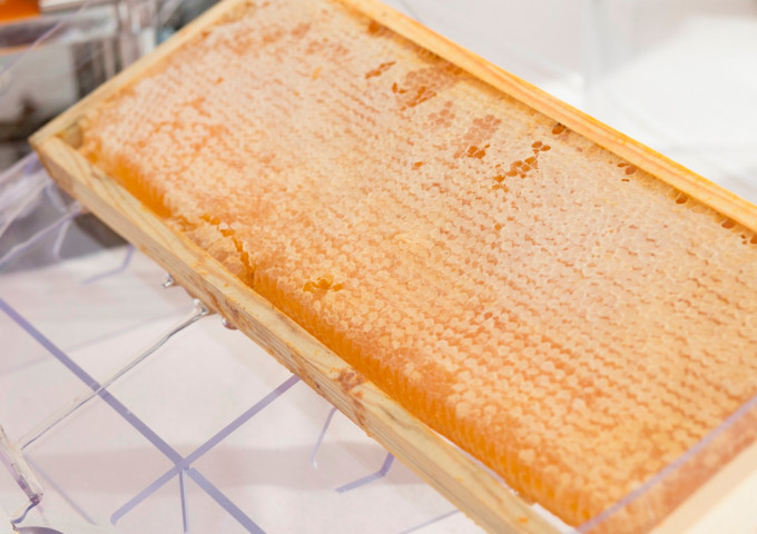 media.abners riccione colazione