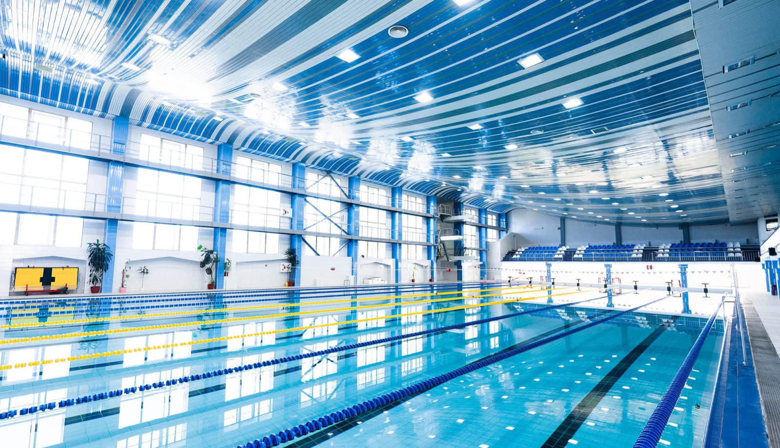 media.hotel-abners-riccione-nuoto-surflifesaving