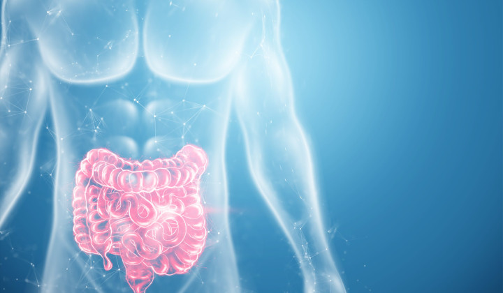 media.hotel-abners-riccione-congresso-nazionale-ig-ibd-malattie-intestinali