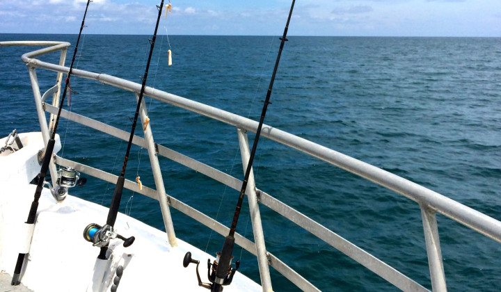 media.hotel-abners-riccione-pescare-show-the-international-event-for-sport-fishing-rimini-fiera